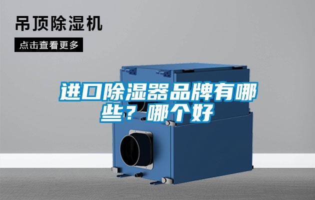 欧美黄色电影在线播放 进口除湿器品牌有哪些？哪个好
