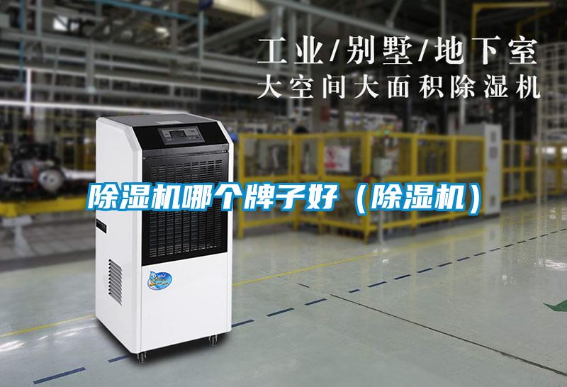 欧美黄色性爱视频网站 除湿机哪个牌子好（除湿机）