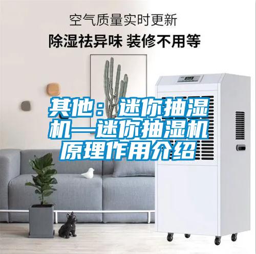 欧美黄色性爱视频网站 其他：迷你抽湿机—迷你抽湿机原理作用介绍