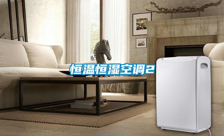 欧美黄色电影在线播放 恒温恒湿空调2