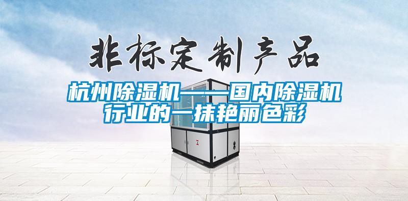 欧美黄色电影在线播放 杭州除湿机——国内除湿机行业的一抹艳丽色彩