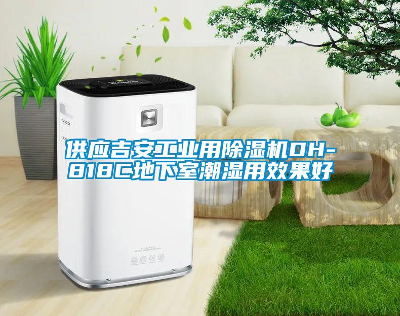 欧美黄色电影在线播放 供应吉安工业用除湿机DH-818C地下室潮湿用效果好