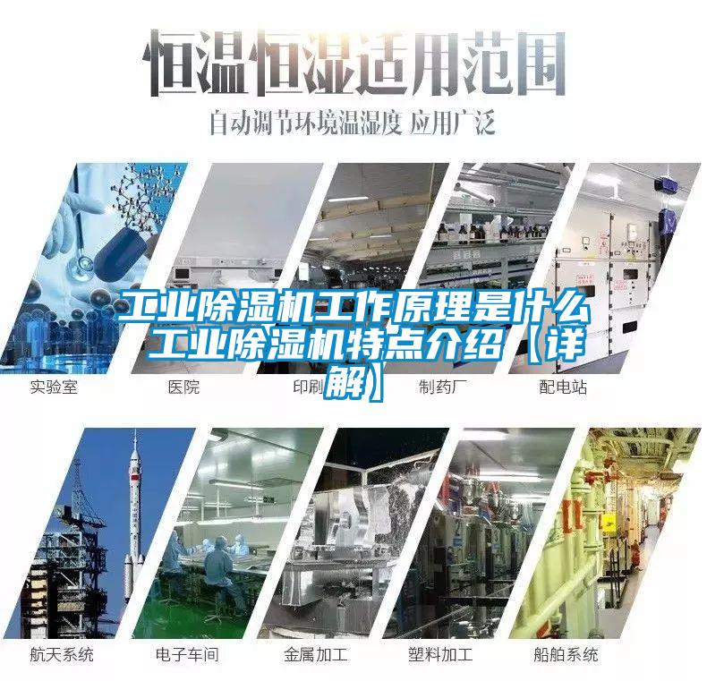 欧美成色手机在线观看 工业除湿机工作原理是什么 工业除湿机特点介绍【详解】