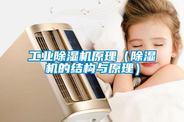 欧美黄色电影在线播放 工业除湿机原理（除湿机的结构与原理）