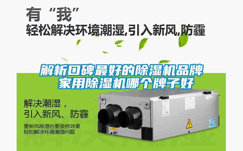 欧美黄色性爱视频网站 解析口碑最好的除湿机品牌 家用除湿机哪个牌子好