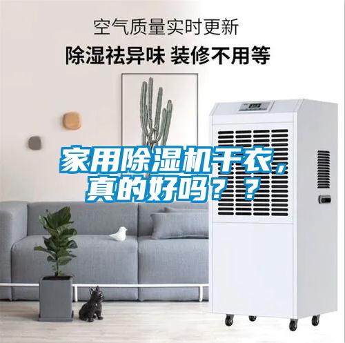 欧美黄色性爱视频网站 家用除湿机干衣，真的好吗？？