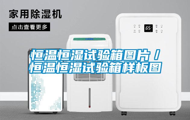 欧美黄色性爱视频网站 恒温恒湿试验箱图片／恒温恒湿试验箱样板图