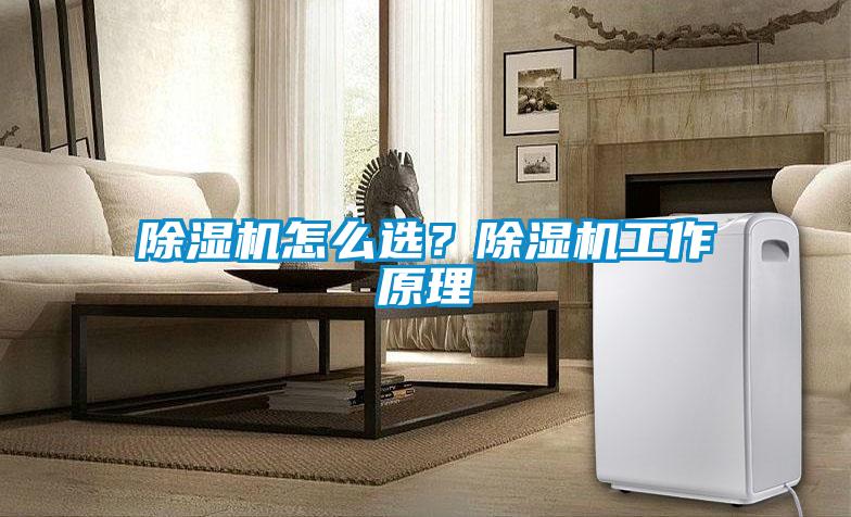 欧美黄色电影在线播放 除湿机怎么选？除湿机工作原理