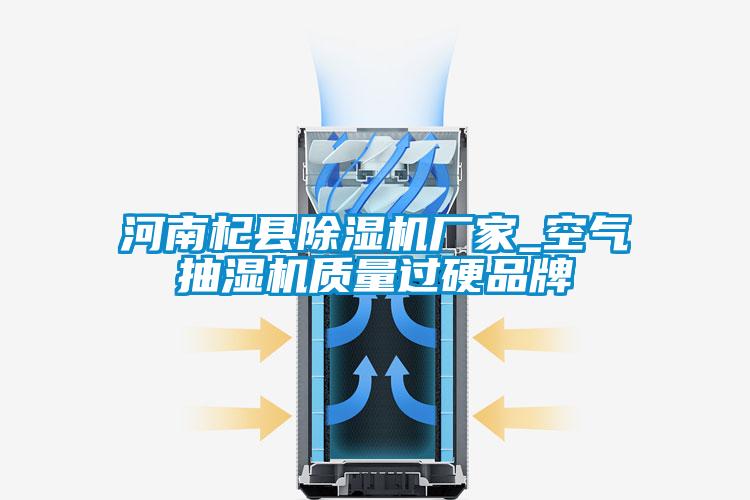欧美黄色电影在线播放 河南杞县除湿机厂家_空气抽湿机质量过硬品牌