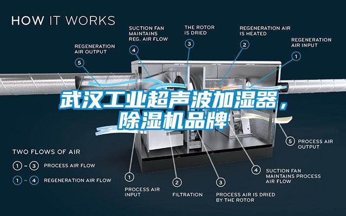 欧美黄色电影在线播放 武汉工业超声波加湿器，除湿机品牌