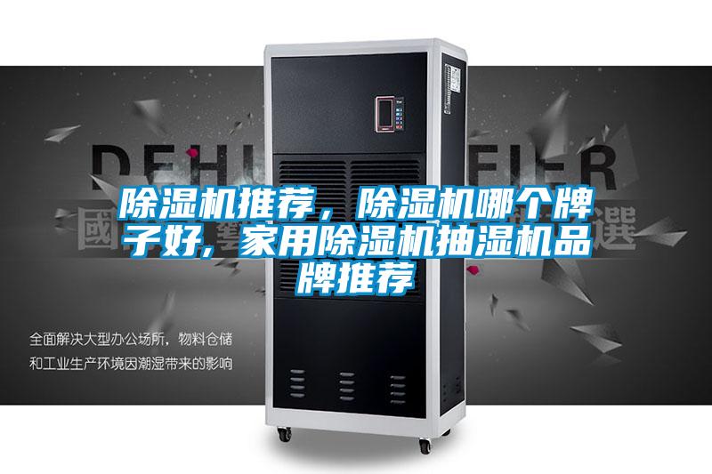欧美成色手机在线观看 除湿机推荐，除湿机哪个牌子好, 家用除湿机抽湿机品牌推荐
