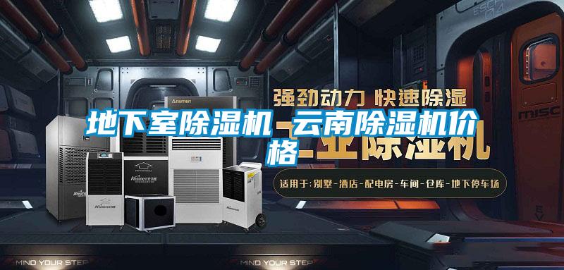 欧美黄色性爱视频网站 地下室除湿机 云南除湿机价格