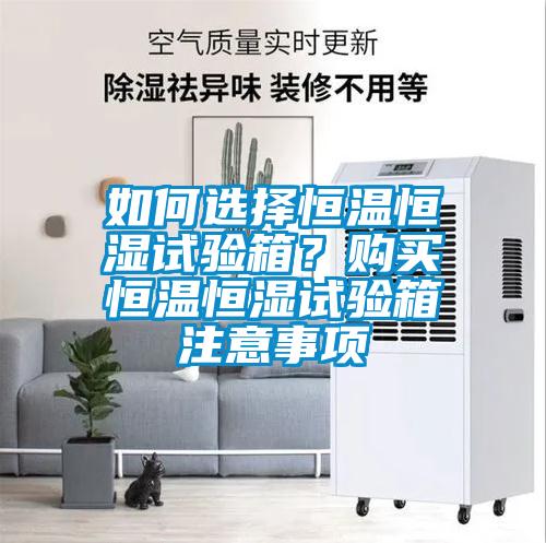 欧美黄色电影在线播放 如何选择恒温恒湿试验箱？购买恒温恒湿试验箱注意事项