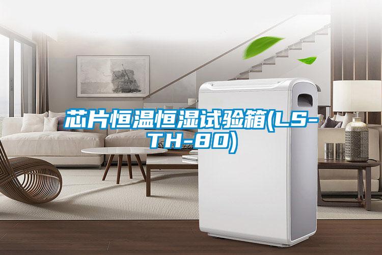 欧美成色手机在线观看 芯片恒温恒湿试验箱(LS-TH-80)
