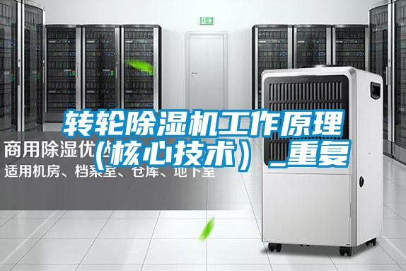欧美黄色电影在线播放 转轮除湿机工作原理（核心技术）_重复