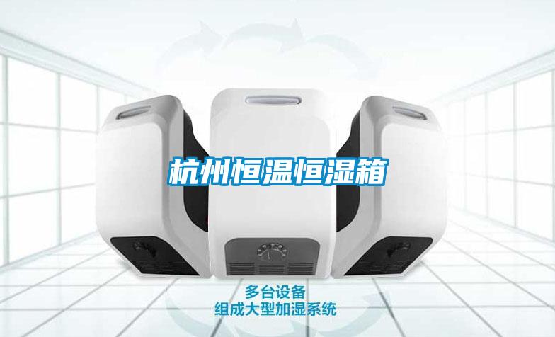 欧美黄色性爱视频网站 杭州恒温恒湿箱