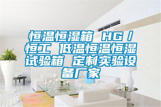 欧美成色手机在线观看 恒温恒湿箱 HG／恒工 低温恒温恒湿试验箱 定制实验设备厂家