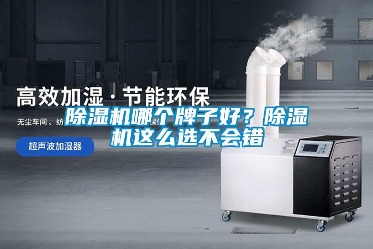 欧美黄色性爱视频网站 除湿机哪个牌子好？除湿机这么选不会错
