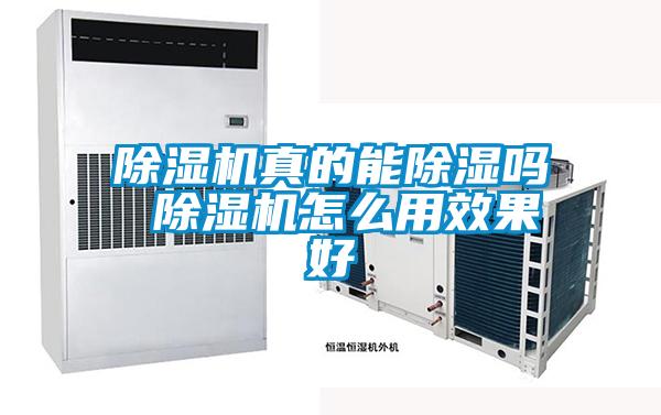 欧美黄色电影在线播放 除湿机真的能除湿吗 除湿机怎么用效果好