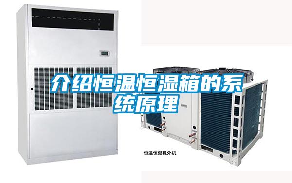 欧美成色手机在线观看 介绍恒温恒湿箱的系统原理