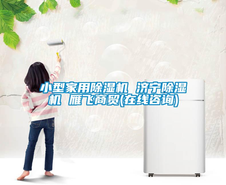 欧美成色手机在线观看 小型家用除湿机 济宁除湿机 雁飞商贸(在线咨询)