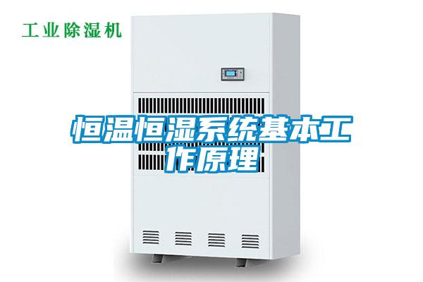 欧美黄色性爱视频网站 恒温恒湿系统基本工作原理