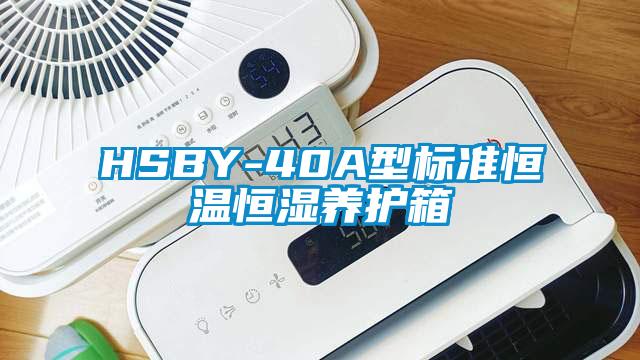 欧美黄色性爱视频网站 HSBY-40A型标准恒温恒湿养护箱