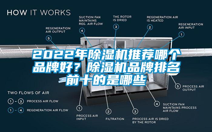 欧美黄色性爱视频网站 2022年除湿机推荐哪个品牌好？除湿机品牌排名前十的是哪些