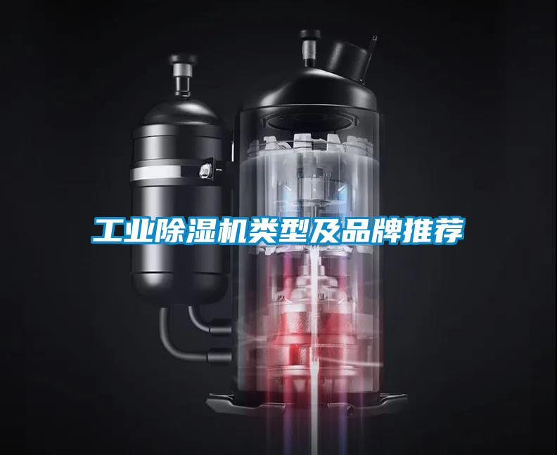欧美黄色电影在线播放 工业除湿机类型及品牌推荐