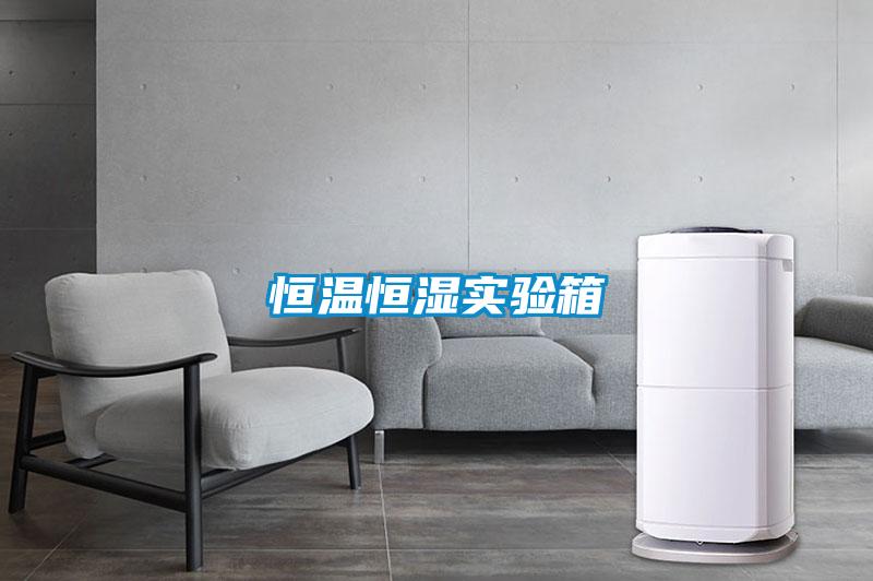 欧美黄色电影在线播放 恒温恒湿实验箱