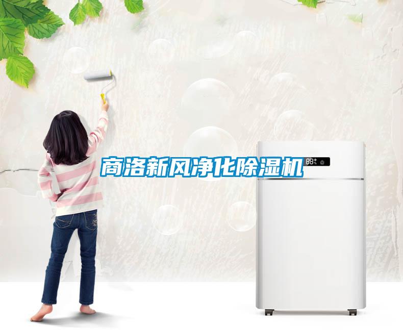 欧美成色手机在线观看 商洛新风净化除湿机