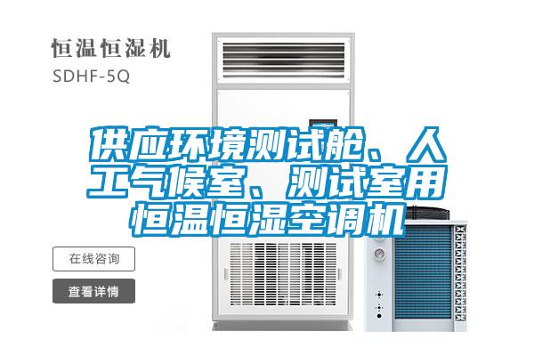 欧美黄色电影在线播放 供应环境测试舱、人工气候室、测试室用恒温恒湿空调机