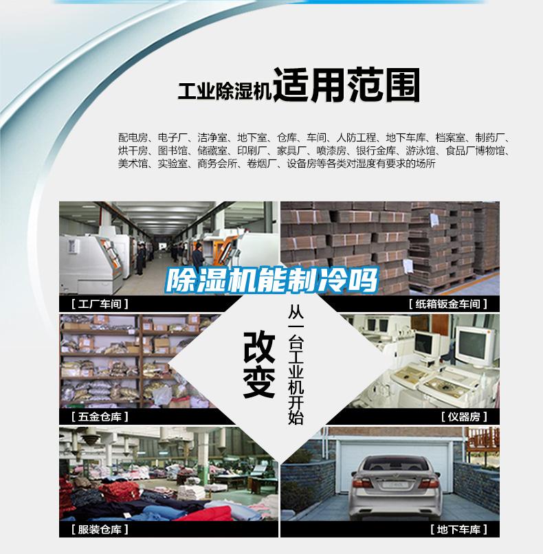 欧美黄色性爱视频网站 除湿机能制冷吗