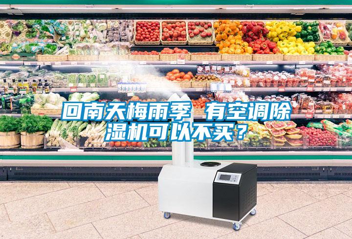欧美黄色电影在线播放 回南天梅雨季 有空调除湿机可以不买？