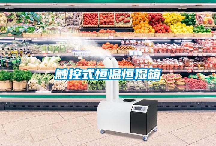 欧美成色手机在线观看 触控式恒温恒湿箱