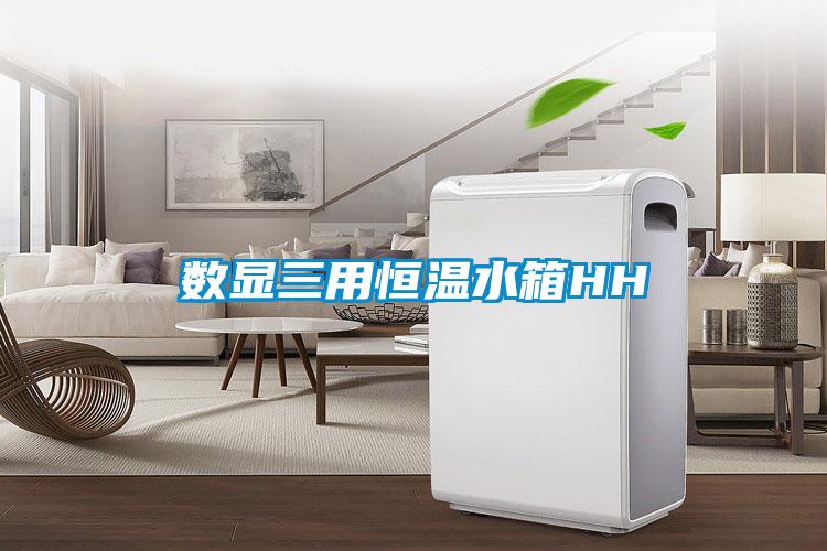 欧美黄色性爱视频网站 数显三用恒温水箱HH