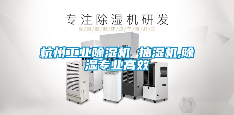 欧美成色手机在线观看 杭州工业除湿机 抽湿机,除湿专业高效