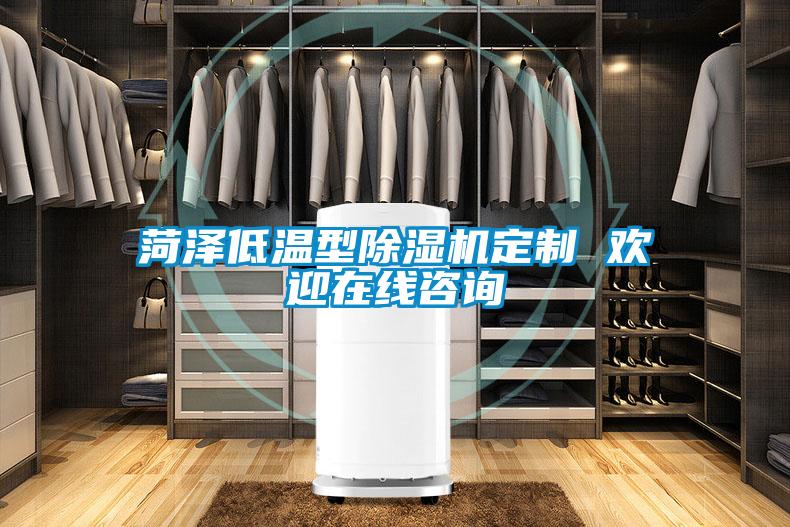 欧美黄色性爱视频网站 菏泽低温型除湿机定制 欢迎在线咨询