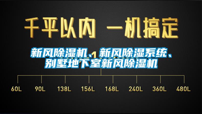 欧美黄色性爱视频网站 新风除湿机、新风除湿系统、别墅地下室新风除湿机