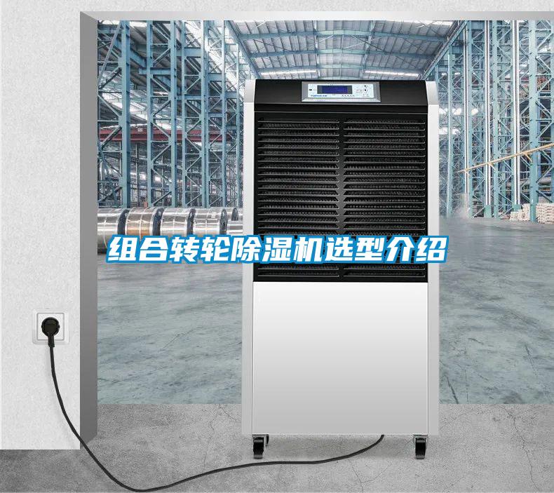 欧美成色手机在线观看 组合转轮除湿机选型介绍