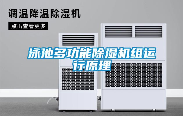 欧美黄色性爱视频网站 泳池多功能除湿机组运行原理