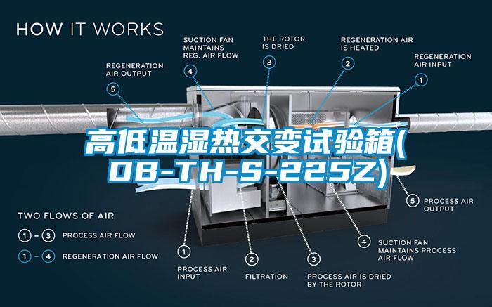 欧美黄色性爱视频网站 高低温湿热交变试验箱(DB-TH-S-225Z)