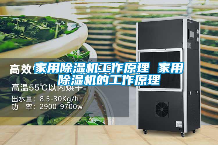 欧美黄色电影在线播放 家用除湿机工作原理 家用除湿机的工作原理