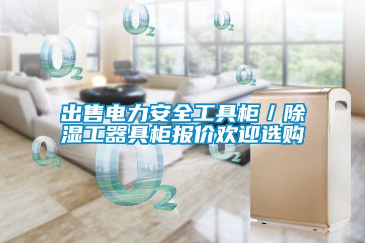 欧美黄色性爱视频网站 出售电力安全工具柜／除湿工器具柜报价欢迎选购