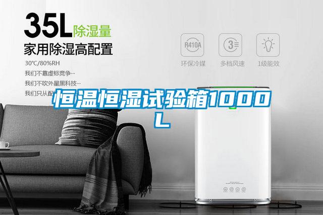 欧美黄色电影在线播放 恒温恒湿试验箱1000L
