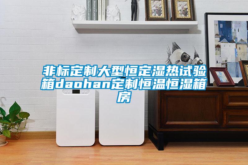欧美黄色电影在线播放 非标定制大型恒定湿热试验箱daohan定制恒温恒湿箱房