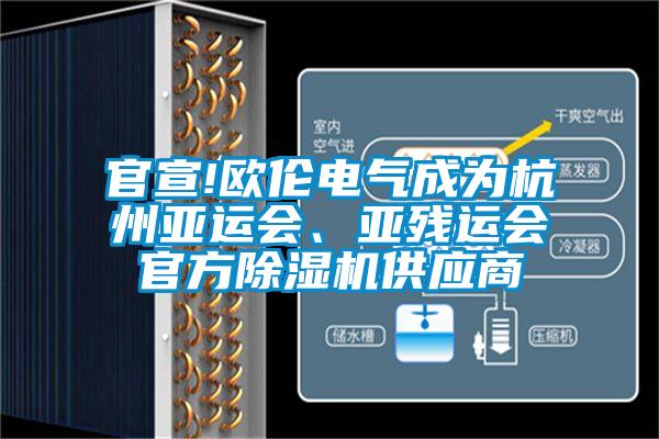 欧美黄色电影在线播放 官宣!欧伦电气成为杭州亚运会、亚残运会官方除湿机供应商