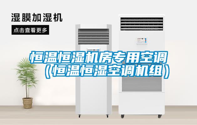 欧美黄色电影在线播放 恒温恒湿机房专用空调（恒温恒湿空调机组）