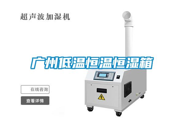 欧美黄色性爱视频网站 广州低温恒温恒湿箱