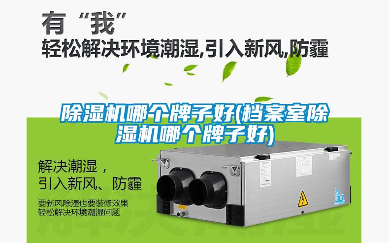 欧美黄色电影在线播放 除湿机哪个牌子好(档案室除湿机哪个牌子好)